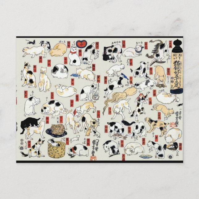 Cats Galore Postcard (Front)