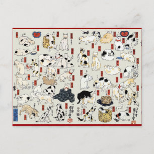 Cats Galore Postcard