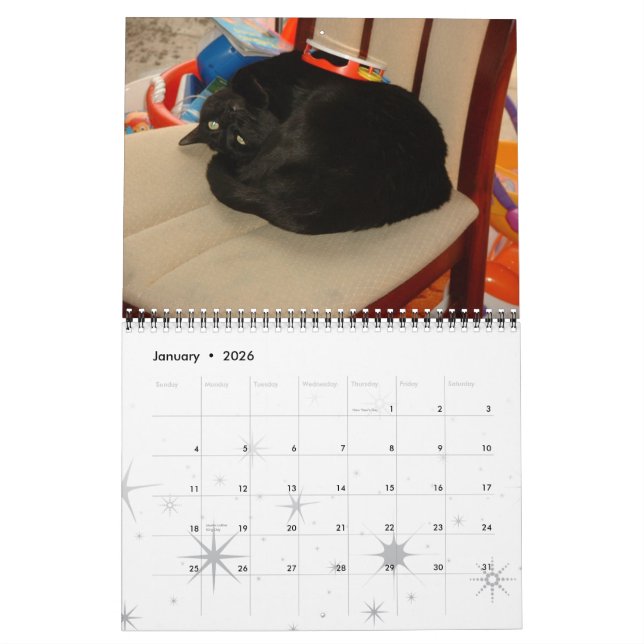 Cats, Glorious Cats Calendar (Jan 2026)