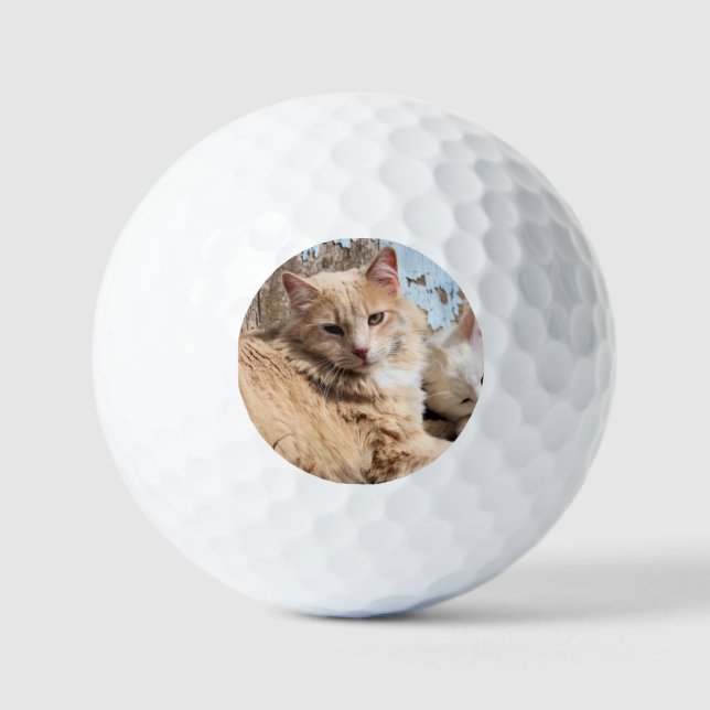 Cats Golf Balls (Front)