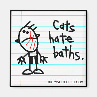 Cats hate baths. magnet