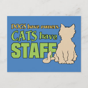 CATS HAVE STAFF postcard