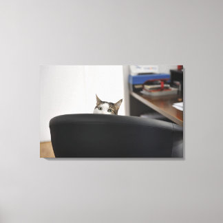 Cat's head showing of an office chair, nearby canvas print