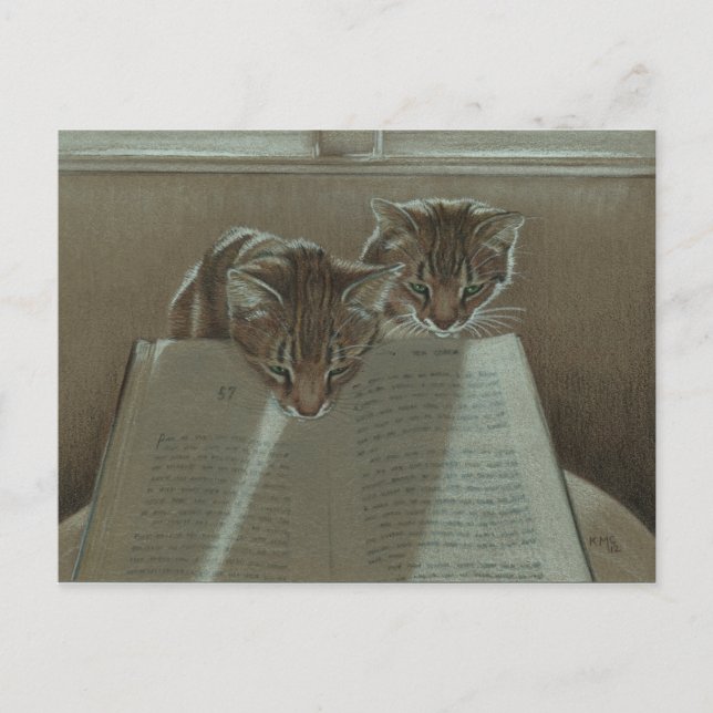 Cats helping me read book postcard (Front)