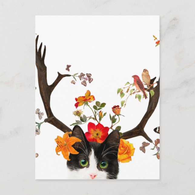 Cat's Horns Postcard (Front)