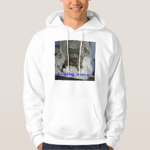 cats, humour hoodie