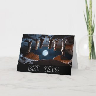 Cats in Bat Cave Card