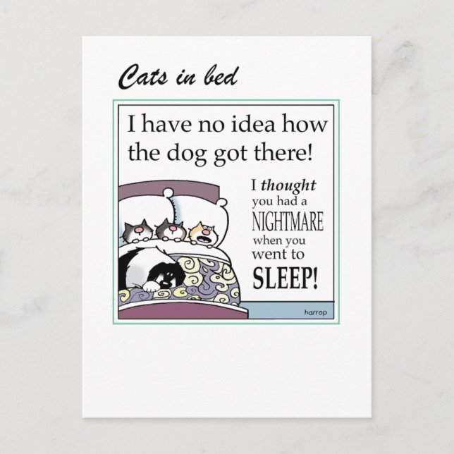 Cats in bed card (Front)