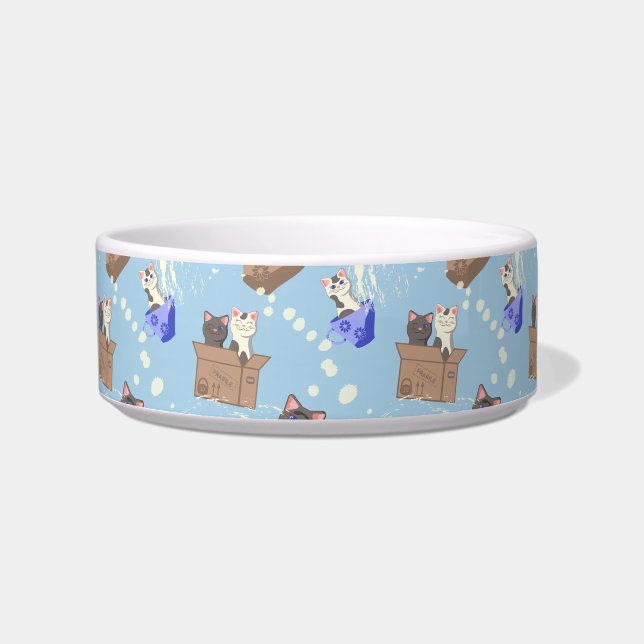Cats in box and milk drops on blue bowl (Front)