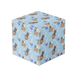Cats in box and milk drops on blue cube