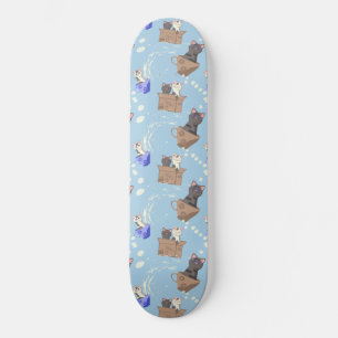 Cats in box and milk drops on blue skateboard