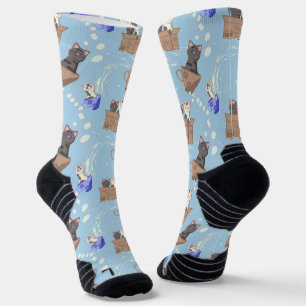 Cats in box and milk drops on blue socks