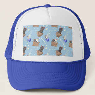 Cats in box and milk drops on blue trucker hat