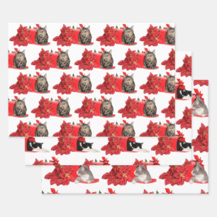 Cats in Christmas mail box Wrapping Paper Sheet