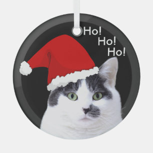 Cats in Santa Hats Christmas Glass Tree Decoration