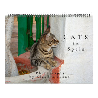 Cats in Spain Calendar