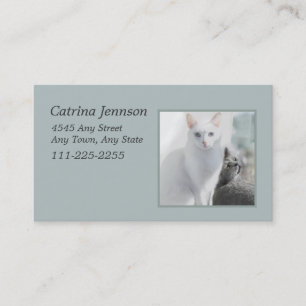 Cats in Sunny Window Business Card