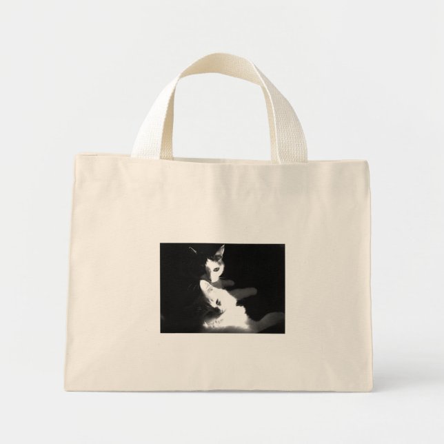 Cats in the Bag (Front)