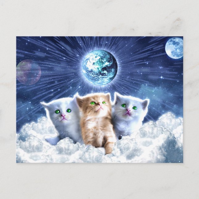 Cats in the cloud                                  postcard (Front)