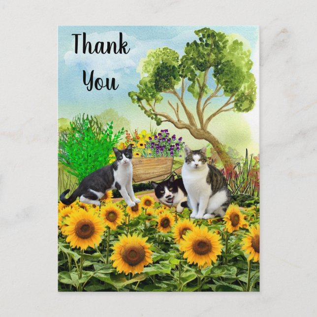 Cats in the Garden / Sunflower Thank You Collage Postcard (Front)