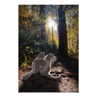 Cats in the Oregon woods Photo Print