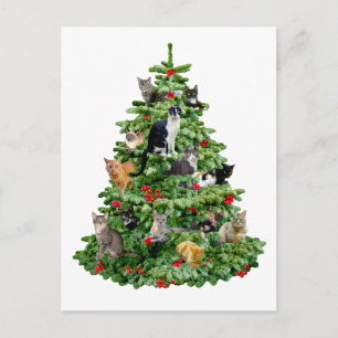 Cats in Tree Postcard