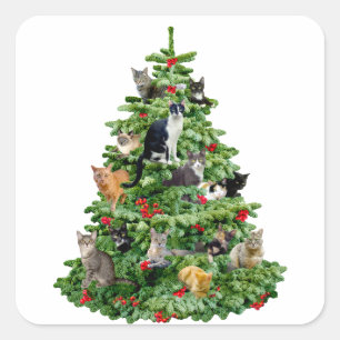 Cats in Tree Square Sticker