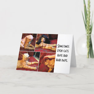 Cats in wigs (blank inside) card