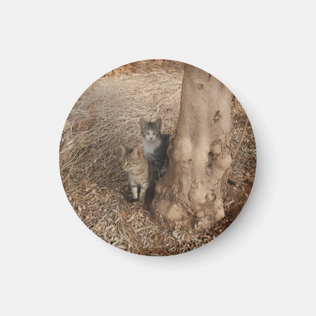 CATS IN WOODLAND MAGNET (Front)