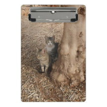 CATS IN WOODLAND