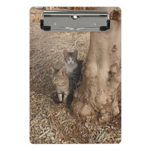 CATS IN WOODLAND MINI CLIPBOARD
