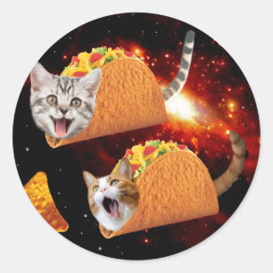 Cats inside space tacos classic round sticker