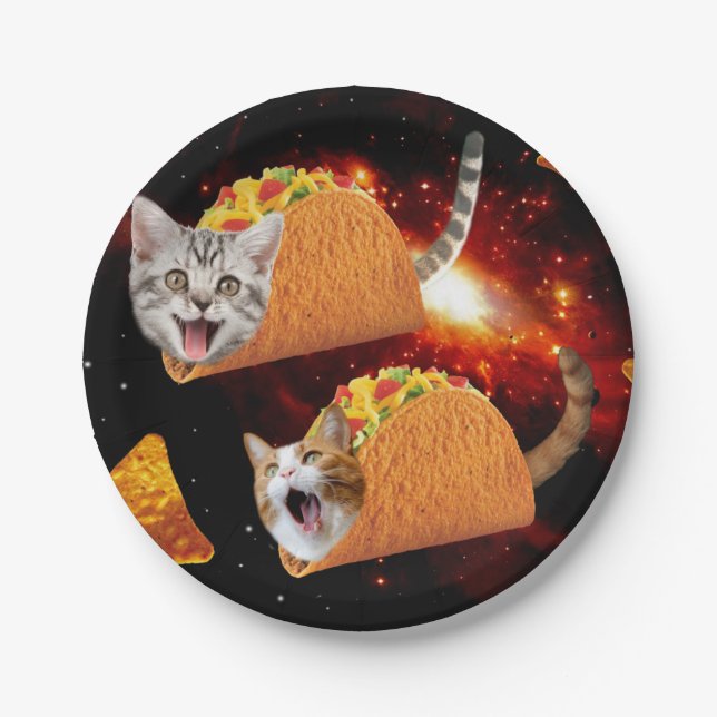 Cats inside space tacos paper plate (Front)