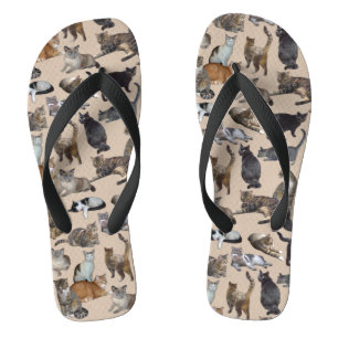 Cats Jandals