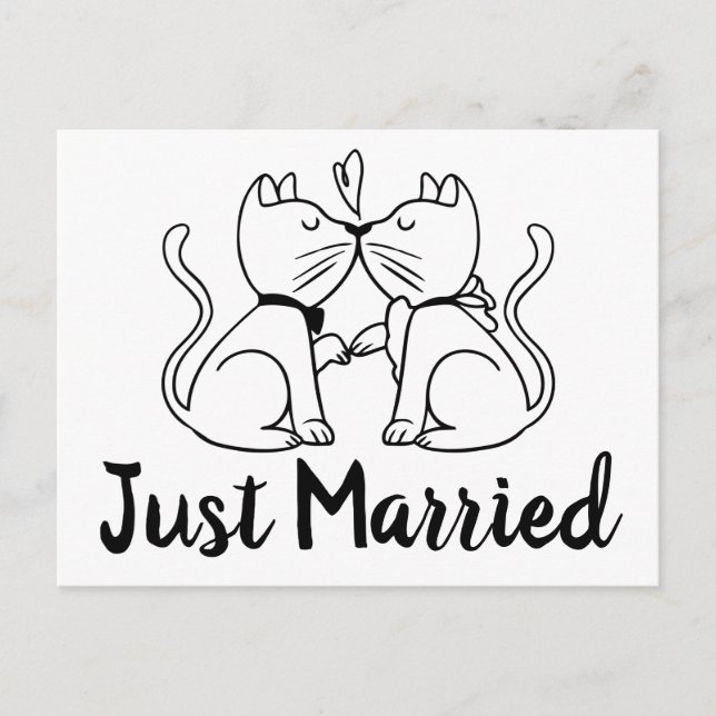 Cats Just Married Black White Wedding Announcement Postcard (Front)