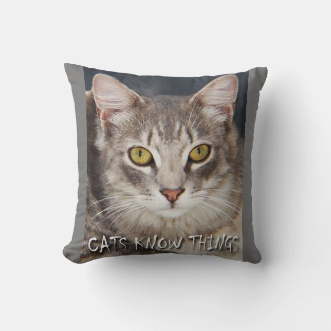 CATS KNOW THINGS  CUSHION (Front)