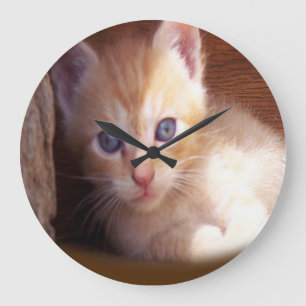 Cats Large Clock