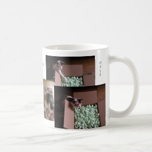 Cats Love To Help Mug