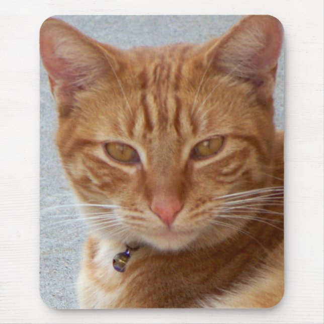 Cat's Lover_ Mouse Pad (Front)