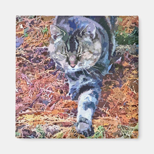 CATS MAGNET (Front)