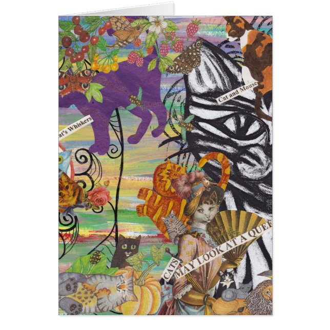 Cats May Look at a Queen Card (Front)