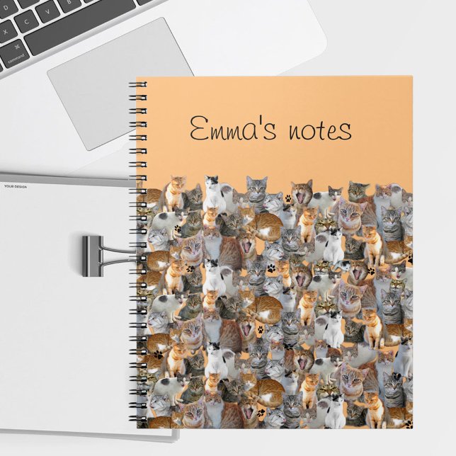 Cats meeting point - cute notebook (Creator Uploaded)