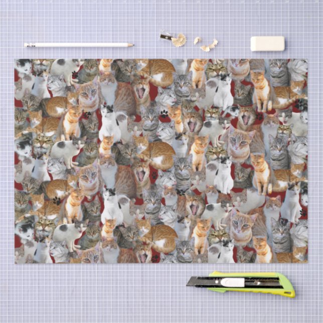 Cats meeting point - cute tissue paper (Craft)