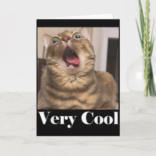 Cats Meme Graphic Silly Cat Humor Funny Cat Very C Card