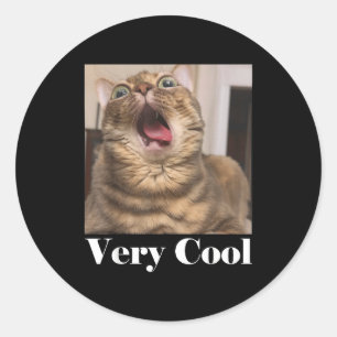 Cats Meme Graphic Silly Cat Humor Funny Cat Very C Classic Round Sticker