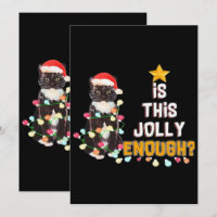 Cats Merry Chirstmas