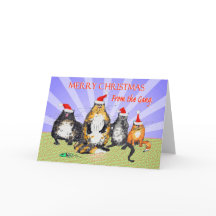 Cats, merry Christmas from the gang, humour