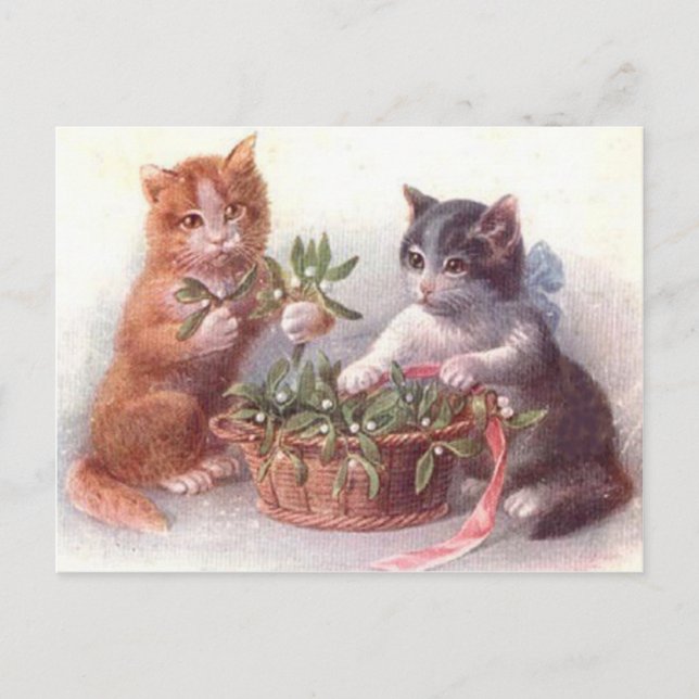 Cats & Mistletoe Postcard (Front)