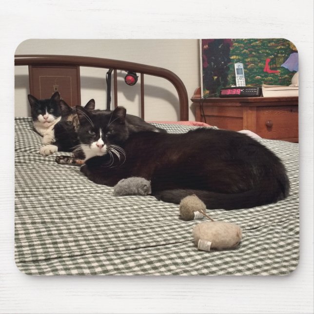Cats Mouse Pad (Front)