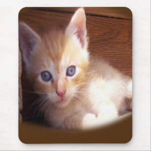 Cats Mouse Pad